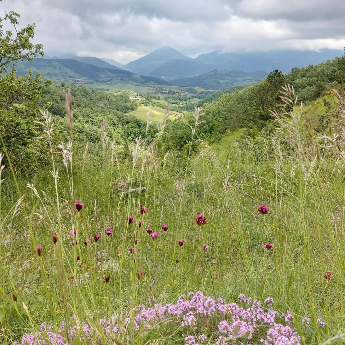 Bnb Bagno Di Bosco Gubbio Exteriér fotografie