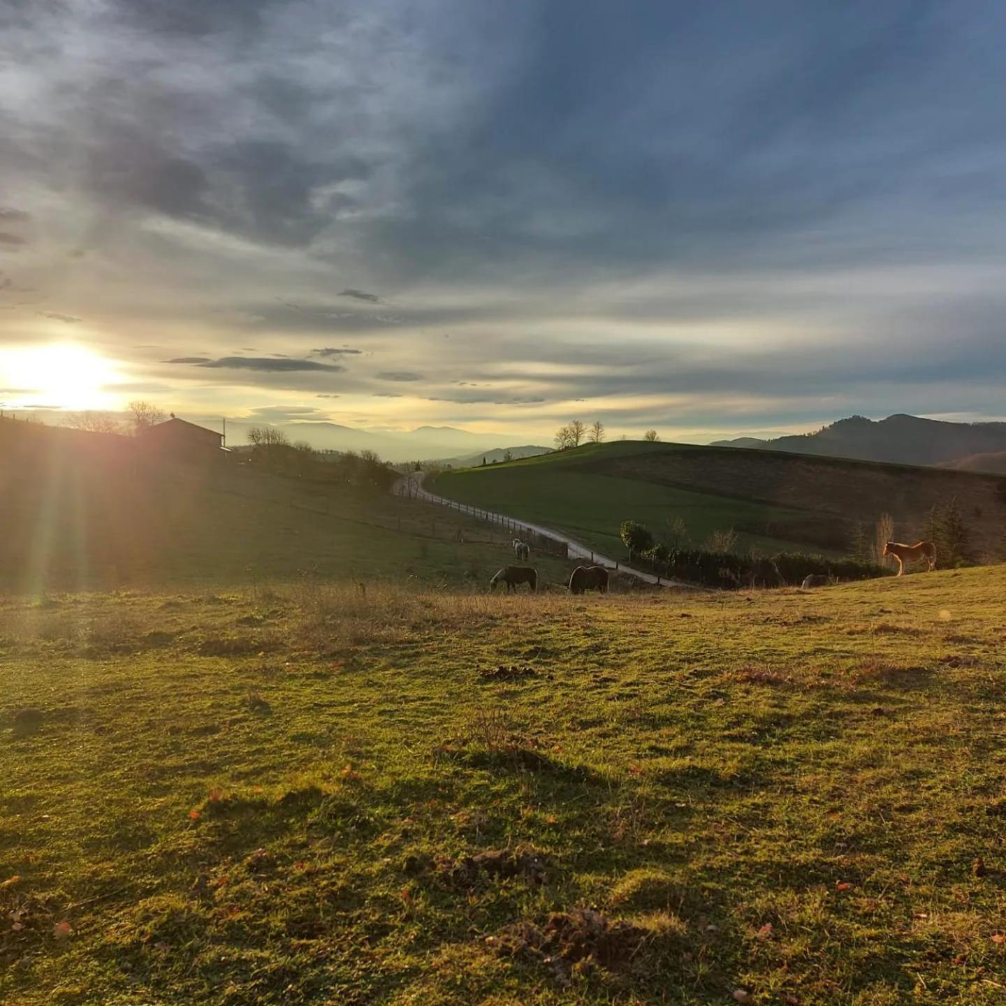 Bnb Bagno Di Bosco Gubbio Exteriér fotografie