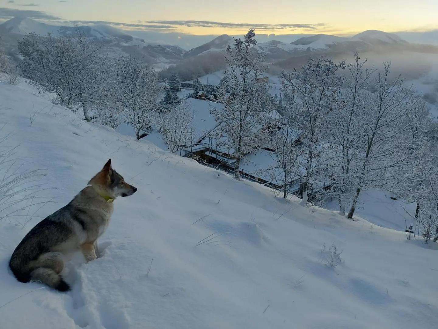 Bnb Bagno Di Bosco Gubbio Exteriér fotografie